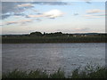 View across the Trent to Gunness