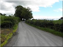 H5628 : Road at Killycronaghan by Kenneth  Allen