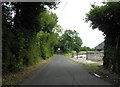 Dernawilt Road, Derrynacloy