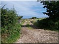 Access road to Caerau farm