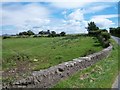 Caerau farmhouse, Dinas,  from the bridge