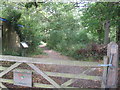 Footpath into Hammond?s Copse, Parkgate