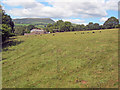 Pen-y-wyrlod farm