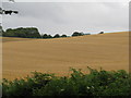 Tractor in stubble field near Fitzleroi Farm