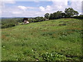 Field at Sticklepath