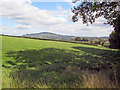 Farmland at Gelli-llwyd