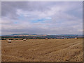 Farmland, Whitby