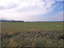 NZ8711 : Whitby Golf Course by wfmillar