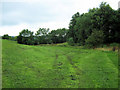 Lower end of Biddulph Valley Park