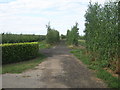 Byway near Boyden Gate