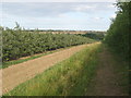 Saxon Shore Way towards Boyden Gate