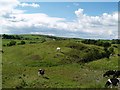 Old Homestead or Motte at West Kirkcarswell