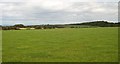 Farmland and woodland plantations at Cefnamwlch