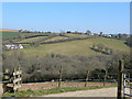 Trewidland from across the valley