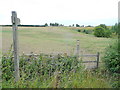 Footpath through pasture