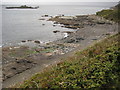 Shoreline near Penlee Point