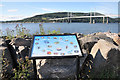 Kessock Bridge and wildlife information board