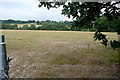 Farmland at Codmore Hill