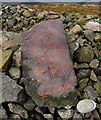 NT8515 : An inscribed stone beside Windy Gyle trig point by Walter Baxter