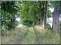 Farm track (footpath) towards Welham Hall