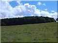 Farmland looking towards Leppington Wood