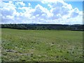 Farmland south of Leppington