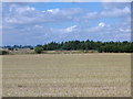 Farmland, Bean Lands