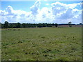 Farmland, Ranbeck