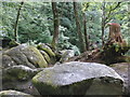 Boulders, above Becky Falls