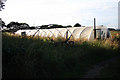 Polytunnels at Lodge Farm