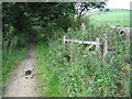 Footpath near Meltham Cop