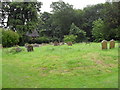 St. Mary, Framsden: churchyard (2)