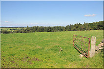 NH7946 : Field near Cantraydoune by Steven Brown