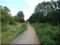 The Trans Pennine Trail