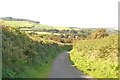 View northwards towards the Cefnamwlch pastures above Bryn Mawr