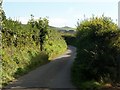 The road uphill towards Mynydd Rhiw