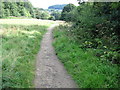 Footpath in Magdale Fields, Honley