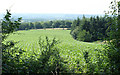 2010 : West from Forest Road near Horningsham