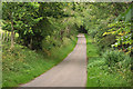 Minor road near Craigrory