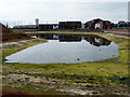 Tidal Inlet, Gosport, Hampshire