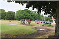 Horse-riding on Wimbledon Common