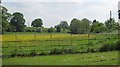 Fields south of Houndsfield Lane