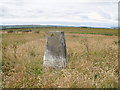 Trig Point at Brabsterdorran