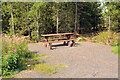 ND3148 : Picnic area in Blingery Forest by Steven Brown