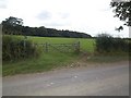 Bridleway meets road