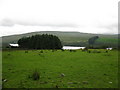 Copse and Cray Reservoir.