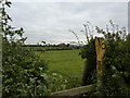 Stile on path approaching Brockhill Farm