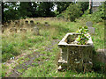 TL8682 : St Mary the Less in Thetford - path through churchyard by Evelyn Simak