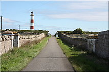 NH9487 : Road to Tarbat Ness lighthouse by Bob Embleton