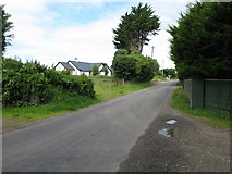 R6645 : Lane with cut trees by David Hawgood